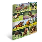 Sammelmappe im DIN A4-Format aus Karton mit Eckspanngummis, bedruckt mit einem Pferdemotiv von der Marke Pagna.