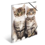 Sammelmappe im DIN A4-Format aus Plastik mit Eckspanngummis, bedruckt mit einem Katzenmotiv von der Marke Pagna.
