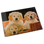 Schreibunterlage | Hunde | LÄUFER
