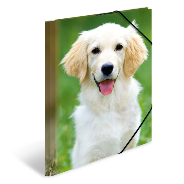 Sammelmappe Plastik | A4 | Hunde | HERMA
