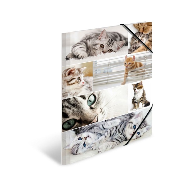 HERMA Sammelmappe im DIN A3-Format aus Karton mit Eckspanngummis, bedruckt mit Katzen-Motiv, Vorderseite.