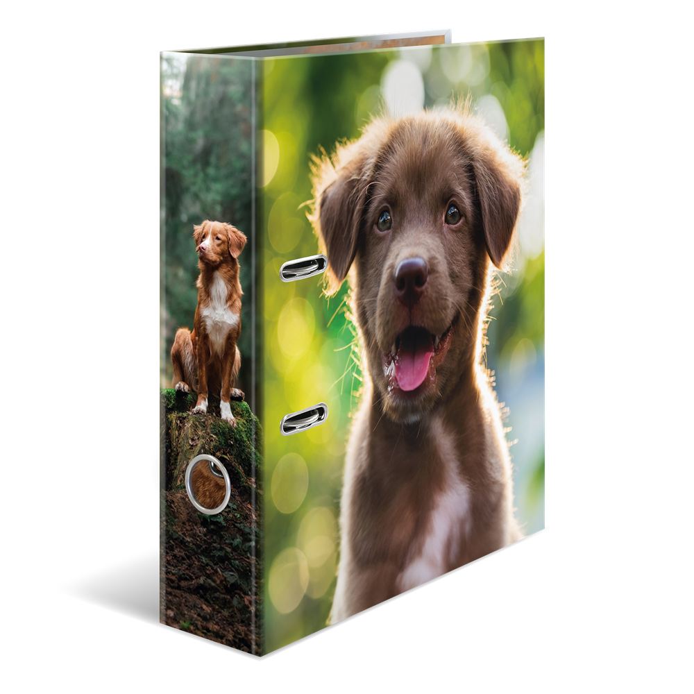 Breiter Herma Ordner mit Hunde Motiv und Griffloch, stehend in seitlicher Ansicht.